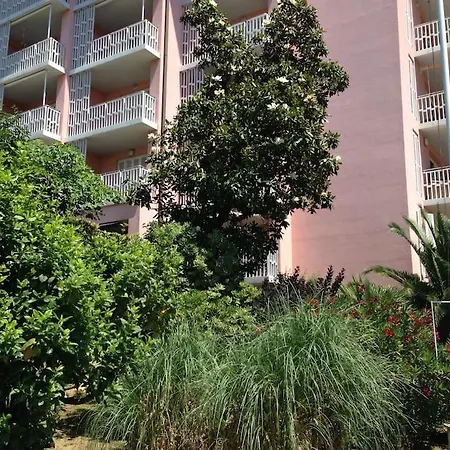 6 Apartma